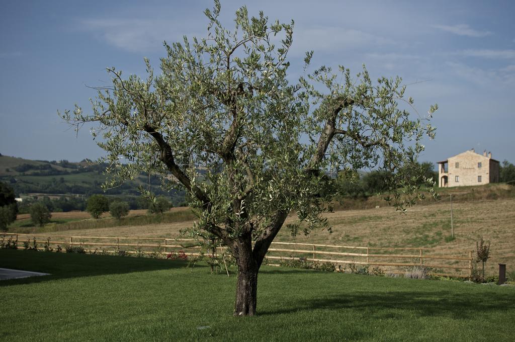Moresco Agriturismo المظهر الخارجي الصورة